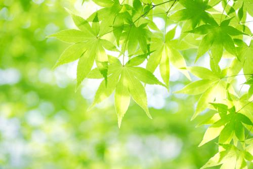 ֱΪʯҵ 㶫Ļᡰ˷硱ת